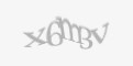 Захисний код