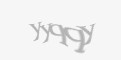 Захисний код