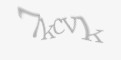 Захисний код