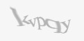 Захисний код